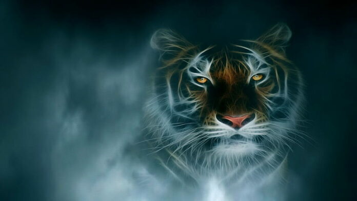 Top Cool Tiger Wallpapers