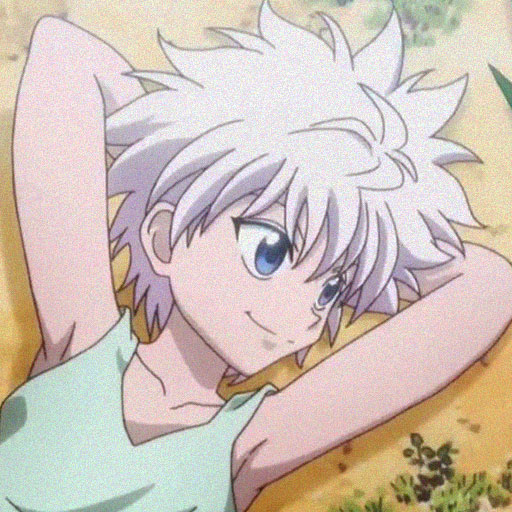 Top Gon And Killua Matching PFP For HxH Fans