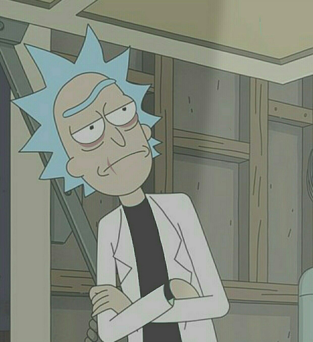 Everything About Rick Sanchez PFP - AMJ