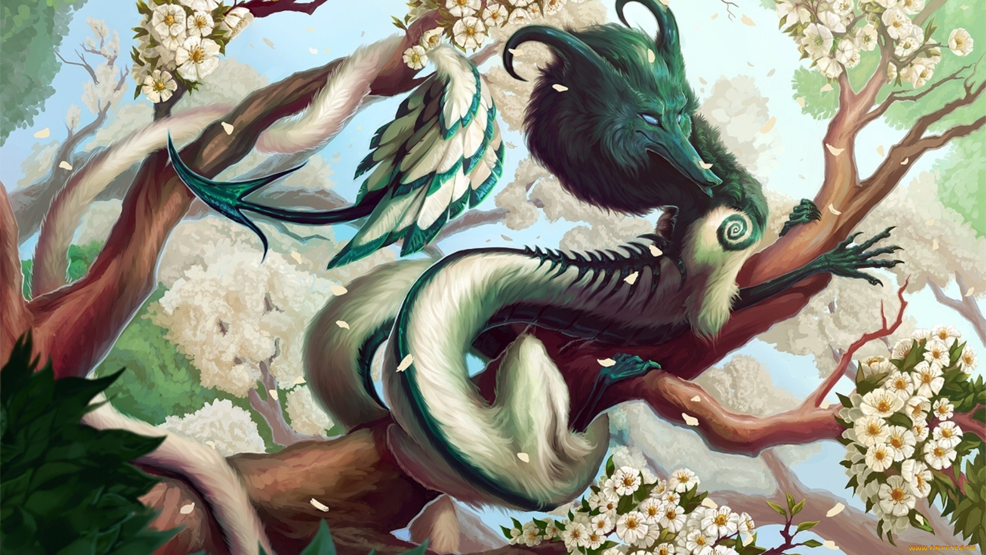 HD Dragon Wallpaper