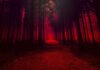Red Aesthetic Wallpapers – Download Free HD Images & Pictures Download Red Aesthetic Free Wallpapers