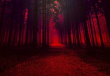 Red Aesthetic Wallpapers – Download Free HD Images & Pictures Download Red Aesthetic Free Wallpapers