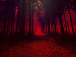 Download Red Aesthetic Free Wallpapers
