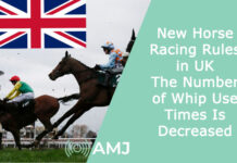 New Horse Racing Rules in UK - The Number of Whip Use Times Is Decreased