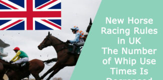 New Horse Racing Rules in UK - The Number of Whip Use Times Is Decreased