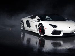 Top Lamborghini Wallpapers for Car Lovers