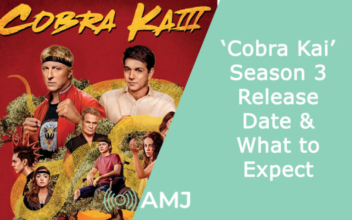 ‘Cobra Kai’ Season 3: Netflix 2021 Release Date & What to Expect