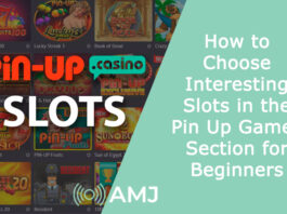 How to Choose Interesting Slots in the Pin Up Games Section for Beginners