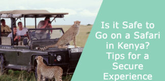 Is it Safe to Go on a Safari in Kenya? Tips for a Secure Experience