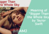 Meaning of “Bigger Than the Whole Sky” by Taylor Swift – Is it about Grieving a Loved One? Meaning of “Bigger Than the Whole Sky” by Taylor Swift