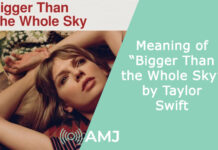 Meaning of “Bigger Than the Whole Sky” by Taylor Swift – Is it about Grieving a Loved One? Meaning of “Bigger Than the Whole Sky” by Taylor Swift