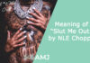 Meaning of “Slut Me Out” by NLE Choppa – Is it an Explicit Song? Meaning of “Slut Me Out” by NLE Choppa