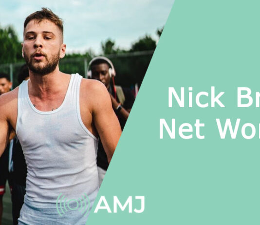 Nick Briz Net Worth