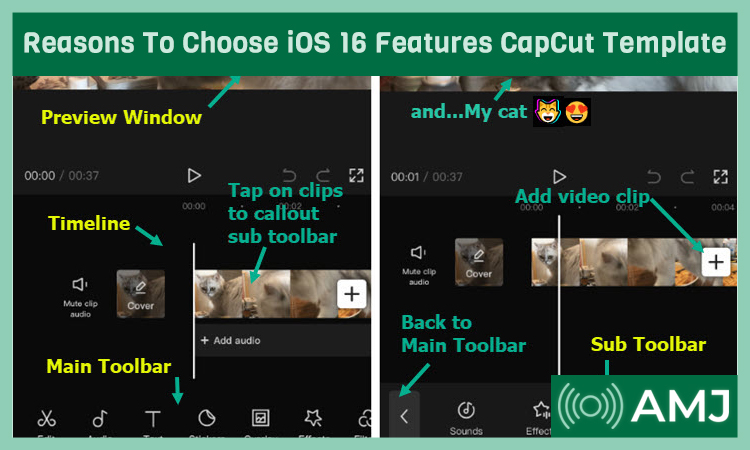 Reasons To Choose iOS 16 Features CapCut Template 