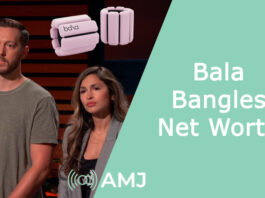 Bala Bangles Net Worth