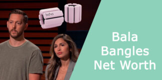 Bala Bangles Net Worth