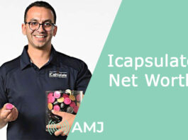 Icapsulate Net Worth