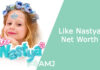 Like Nastya Net Worth