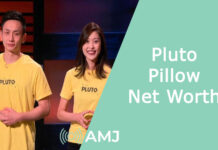 Pluto Pillow Net Worth