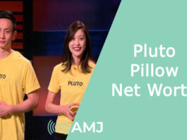Pluto Pillow Net Worth