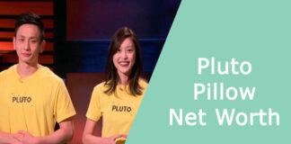 Pluto Pillow Net Worth
