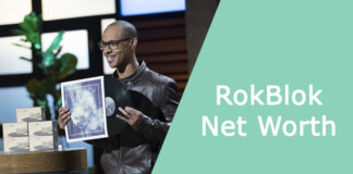 RokBlok Net Worth