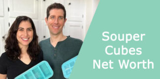 Souper Cubes Net Worth
