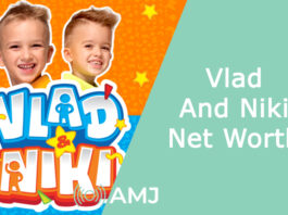 Vlad And Niki Net Worth