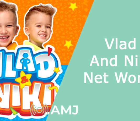 Vlad And Niki Net Worth