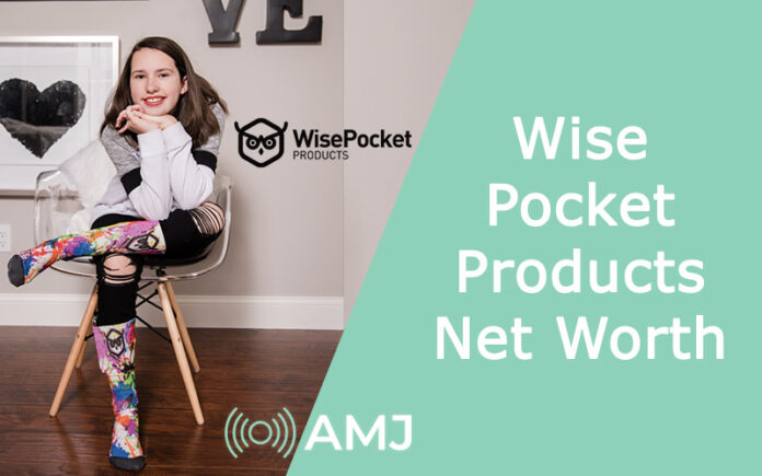 Wise Pocket Products Net Worth