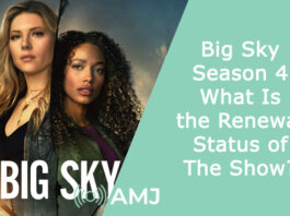 Big Sky Season 4 – What Is the Renewal Status of The Show?