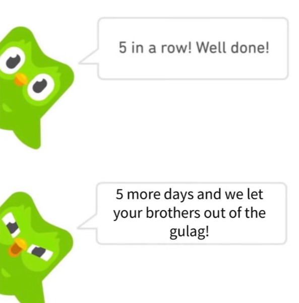 Duolingo Free Viral Memes
