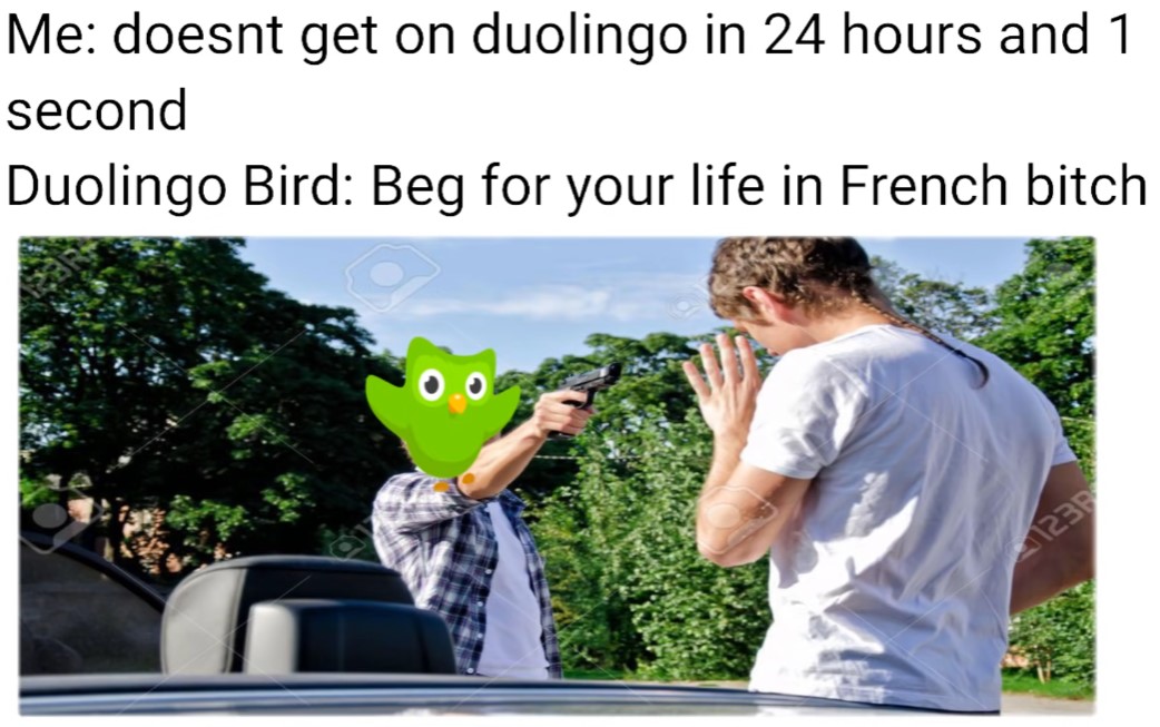 Duolingo Funny Memes