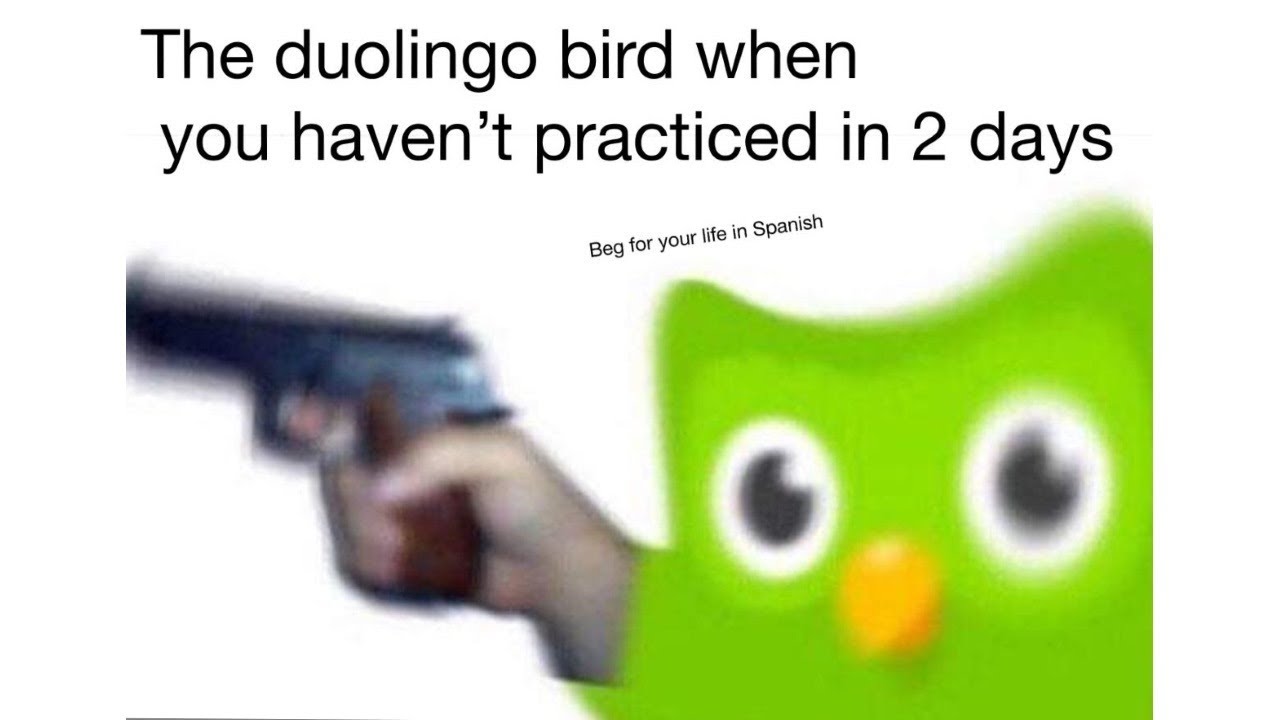 Duolingo Memes for friends