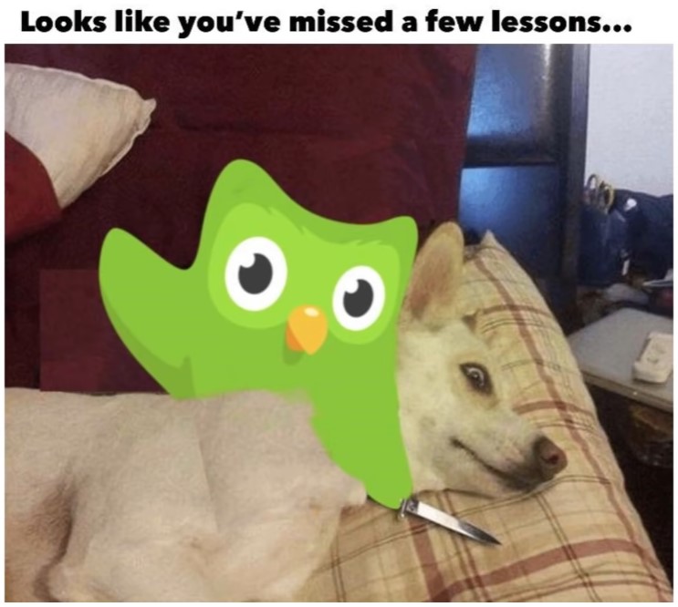 Duolingo best Memes
