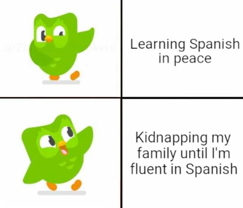 Free Duolingo Memes