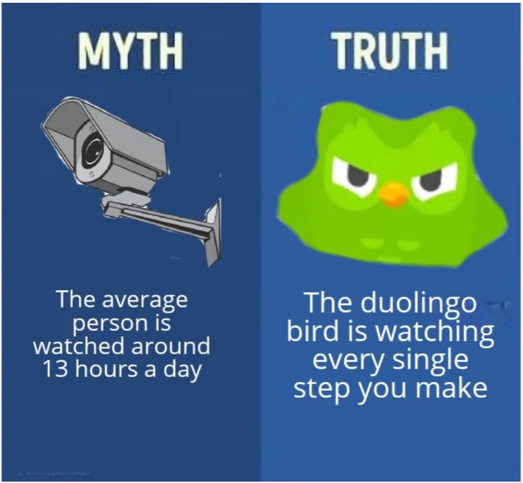 Funny Duolingo Memes
