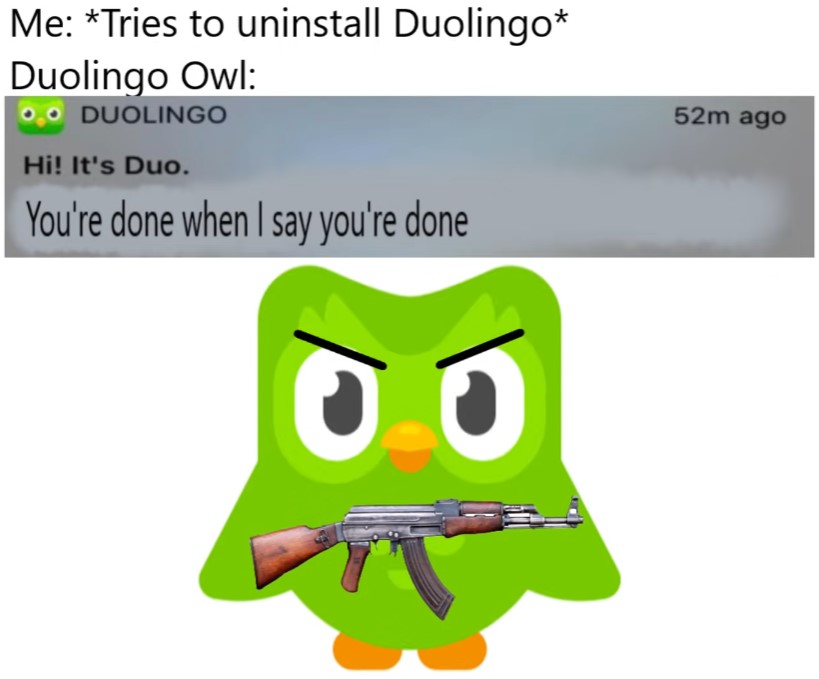Hilarious Duolingo Memes