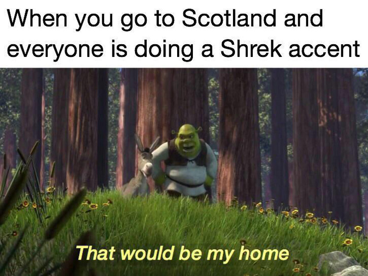 Shrek Free Memes