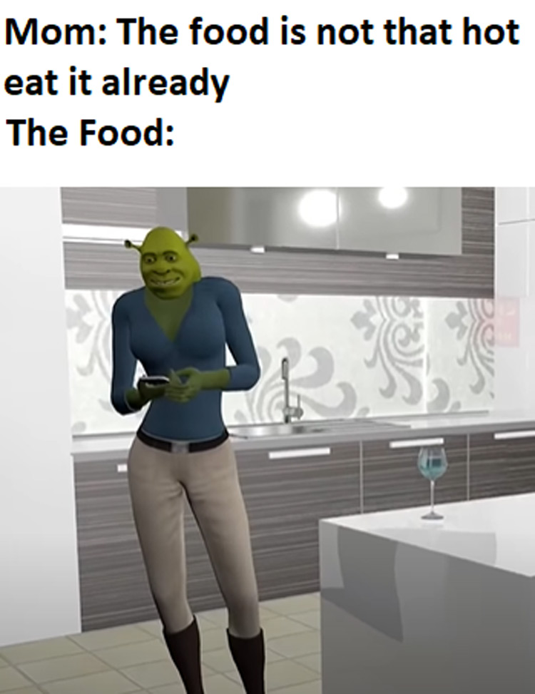 Shrek Funny Memes