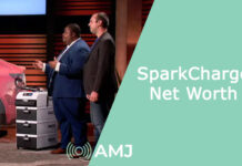 SparkCharge Net Worth