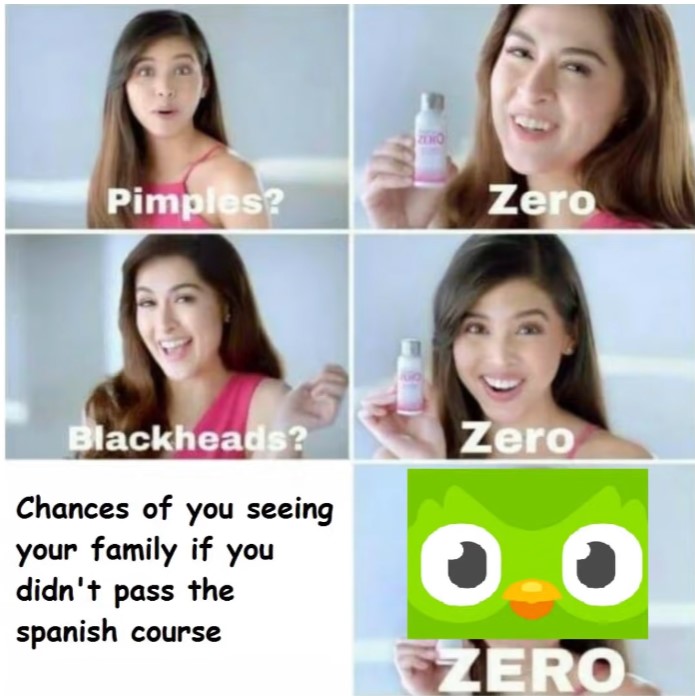 Top Funny Duolingo Memes