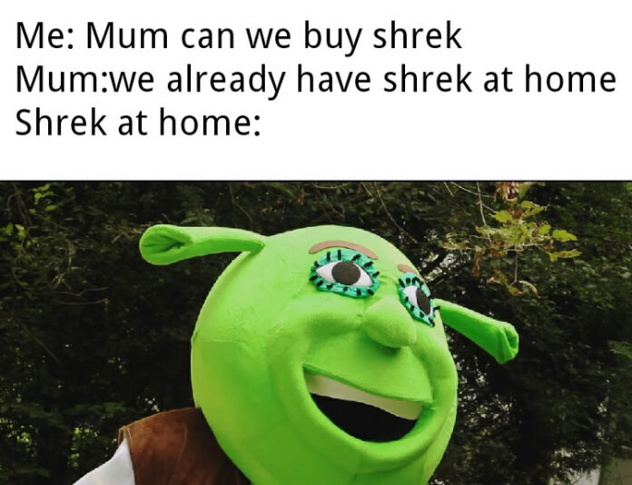 Shrek Memes That Everyone s Talking About The Internet s Favorite Shrek Memes That Everyone s Talking About The Internet s Favorite