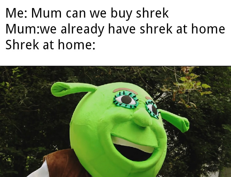Top Funny Shrek Memes