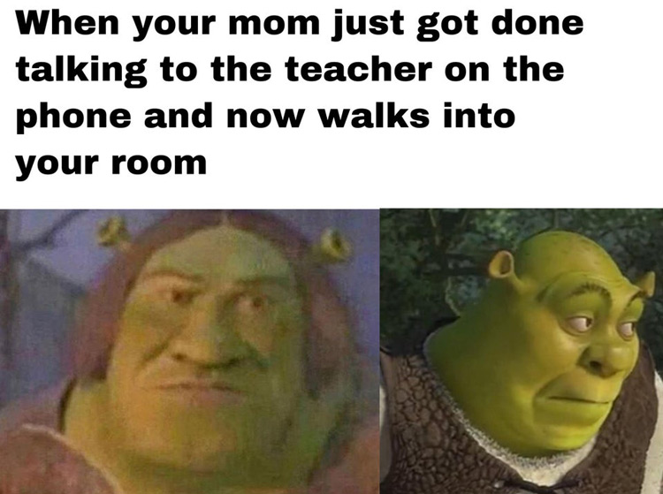 Top Viral Shrek Memes