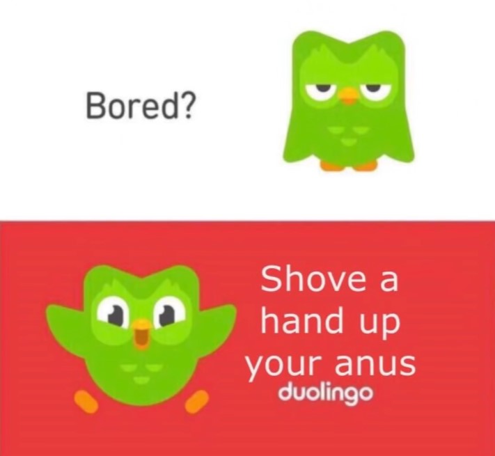 Viral Duolingo Memes