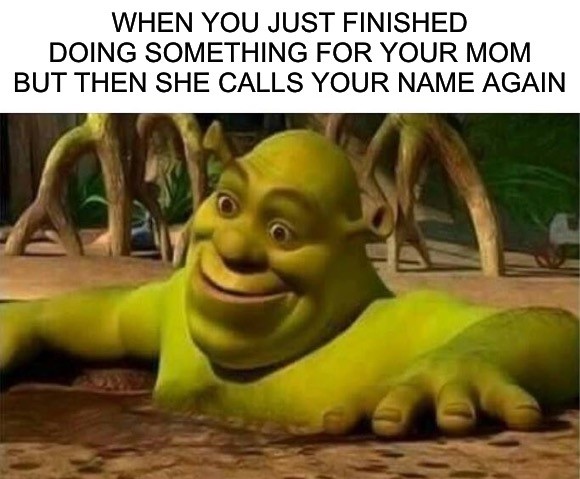Viral Shrek Memes