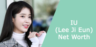 IU (Lee Ji Eun) Net Worth