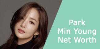 Park Min Young Net Worth