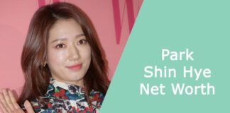 Park Shin Hye Net Worth